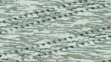 Benzersiz dijital hareket grafiklerine sahip yaratıcı sinematik projeler için yumuşak animasyon yüzeyi