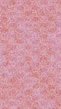 Soyut hareket desenli fütüristik video üretimi için dinamik dijital arkaplan