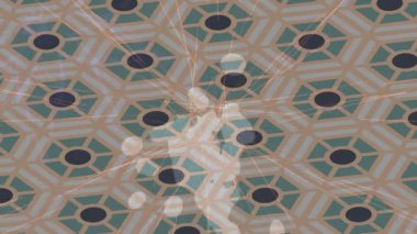 Yaratıcı video düzenleme film arkaplan tasarımı için minimalist organik hareket grafikleri