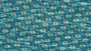 Dijital doku yüzey tasarım biçimi ile modern video animasyonu için gelişmiş hareket grafikleri