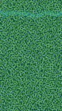 Dijital doku yüzey tasarım biçimi ile modern video animasyonu için gelişmiş hareket grafikleri