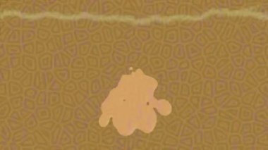 Yaratıcı video düzenleme film arkaplan tasarımı için minimalist organik hareket grafikleri