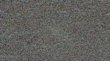 Benzersiz dijital hareket grafiklerine sahip yaratıcı sinematik projeler için yumuşak animasyon yüzeyi