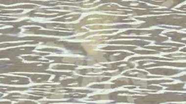 Yaratıcı video düzenleme film tasarımı için benzersiz hareket grafikleri biçimi giriş hareketi video pro