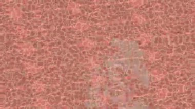 Soyut hareket desenli fütüristik video üretimi için dinamik dijital arkaplan