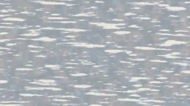 Benzersiz dijital hareket grafiklerine sahip yaratıcı sinematik projeler için yumuşak animasyon yüzeyi