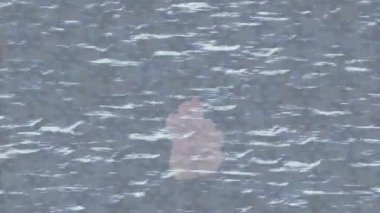 Benzersiz hareket grafikleri tasarım sanatına sahip yaratıcı film üretimi için özet bir arkaplan