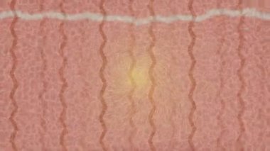 Benzersiz dijital animasyon tarzı grafikleri olan yaratıcı ortam tasarımı için yenilikçi hareket dokusu