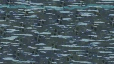 Yaratıcı video düzenleme film tasarımı için benzersiz hareket grafikleri biçimi giriş hareketi video pro