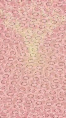 Lüks hareket tasarımı üst düzey video projeleri ve dijital sanat için zarif, pürüzsüz bir dokusu var.