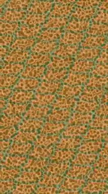 Yaratıcı video düzenleme film arkaplan tasarımı için minimalist organik hareket grafikleri