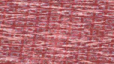 Estetik doku arkaplan tasarımı renkli hareket grafikleri ile moda film giriş profosyoneli