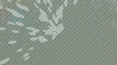 Yaratıcı video düzenleme film tasarımı için benzersiz hareket grafikleri biçimi giriş hareketi video pro