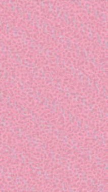 Benzersiz video giriş tasarımı projeleri için detaylı yüzey kalıbı film animasyon stili grafik girişi