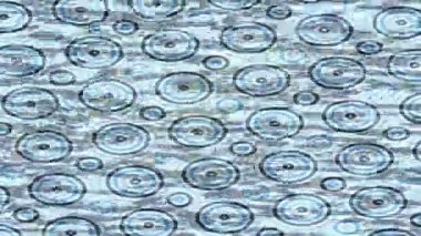 Yaratıcı video düzenleme film tasarımı için benzersiz hareket grafikleri biçimi giriş hareketi video pro