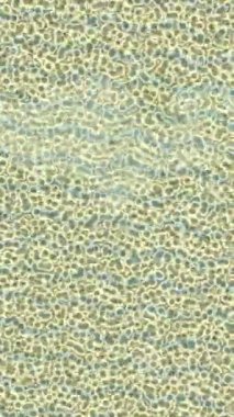 Dijital doku yüzey tasarım biçimi ile modern video animasyonu için gelişmiş hareket grafikleri