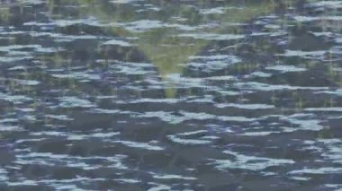 Lüks hareket projeleri için soyut tasarım stili animasyonu olan üst düzey dijital doku