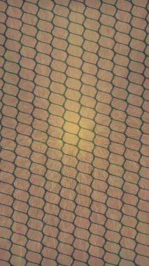 Yaratıcı video düzenleme film arkaplan tasarımı için minimalist organik hareket grafikleri