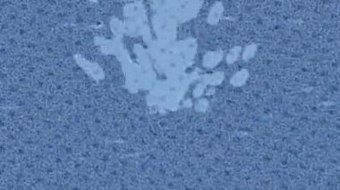 Lüks hareket tasarımı üst düzey video projeleri ve dijital sanat için zarif, pürüzsüz bir dokusu var.