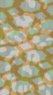 Benzersiz dijital hareket grafiklerine sahip yaratıcı sinematik projeler için yumuşak animasyon yüzeyi