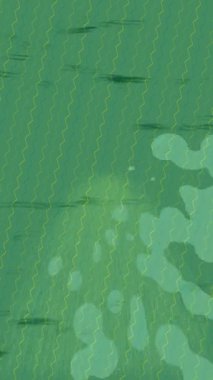 Dijital doku yüzey tasarım biçimi ile modern video animasyonu için gelişmiş hareket grafikleri