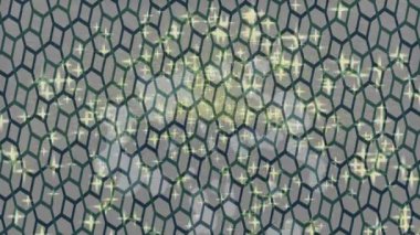 Lüks hareket projeleri için soyut tasarım stili animasyonu olan üst düzey dijital doku