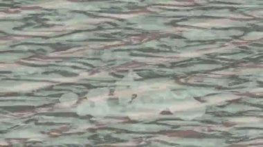 Lüks hareket projeleri için soyut tasarım stili animasyonu olan üst düzey dijital doku