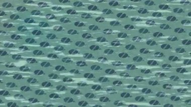 Soyut hareket desenli fütüristik video üretimi için dinamik dijital arkaplan