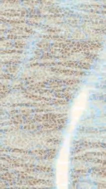 Soyut hareket desenli fütüristik video üretimi için dinamik dijital arkaplan