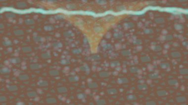 Yaratıcı video düzenleme film arkaplan tasarımı için minimalist organik hareket grafikleri