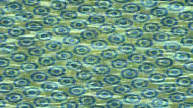 Benzersiz dijital hareket grafiklerine sahip yaratıcı sinematik projeler için yumuşak animasyon yüzeyi