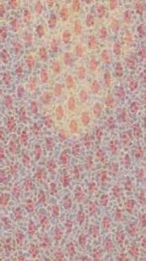 Soyut hareket desenli fütüristik video üretimi için dinamik dijital arkaplan