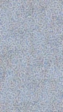 Dijital doku yüzey tasarım biçimi ile modern video animasyonu için gelişmiş hareket grafikleri