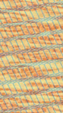 Yaratıcı video düzenleme film arkaplan tasarımı için minimalist organik hareket grafikleri