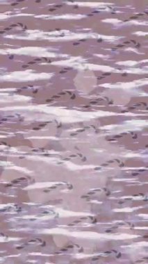 Dijital doku yüzey tasarım biçimi ile modern video animasyonu için gelişmiş hareket grafikleri