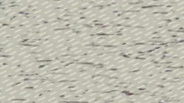 Yaratıcı video düzenleme film tasarımı için benzersiz hareket grafikleri biçimi giriş hareketi video pro