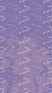 Lüks hareket projeleri için soyut tasarım stili animasyonu olan üst düzey dijital doku