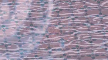 Benzersiz video giriş tasarımı projeleri için detaylı yüzey kalıbı film animasyon stili grafik girişi