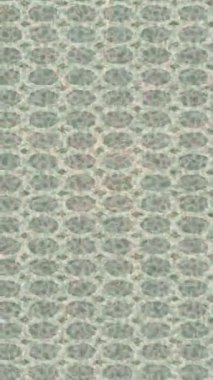 Soyut hareket desenli fütüristik video üretimi için dinamik dijital arkaplan