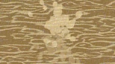 Lüks hareket tasarımı üst düzey video projeleri ve dijital sanat için zarif, pürüzsüz bir dokusu var.