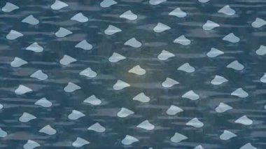 Lüks hareket projeleri için soyut tasarım stili animasyonu olan üst düzey dijital doku