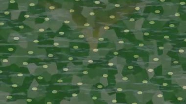 Lüks hareket tasarımı üst düzey video projeleri ve dijital sanat için zarif, pürüzsüz bir dokusu var.