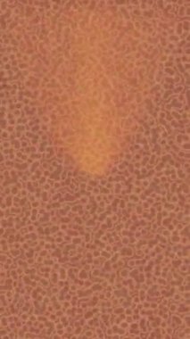 Estetik doku arkaplan tasarımı renkli hareket grafikleri ile moda film giriş profosyoneli