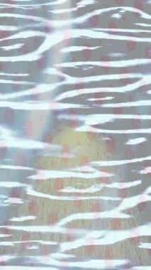 Lüks hareket tasarımı üst düzey video projeleri ve dijital sanat için zarif, pürüzsüz bir dokusu var.