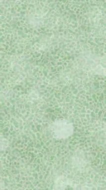 Benzersiz video giriş tasarımı projeleri için detaylı yüzey kalıbı film animasyon stili grafik girişi