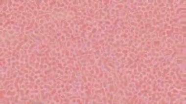 Lüks hareket projeleri için soyut tasarım stili animasyonu olan üst düzey dijital doku