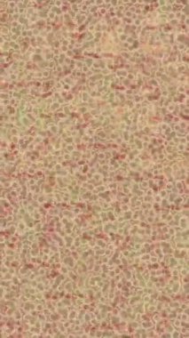 Benzersiz hareket dokusu tasarım sanatı ile profesyonel video düzenleme için modern soyut grafikler