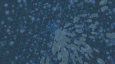 Lüks hareket tasarımı üst düzey video projeleri ve dijital sanat için zarif, pürüzsüz bir dokusu var.