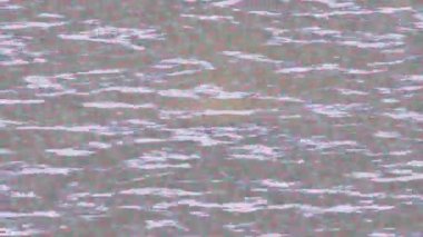 Benzersiz dijital hareket grafiklerine sahip yaratıcı sinematik projeler için yumuşak animasyon yüzeyi