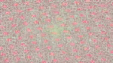 Lüks hareket tasarımı üst düzey video projeleri ve dijital sanat için zarif, pürüzsüz bir dokusu var.